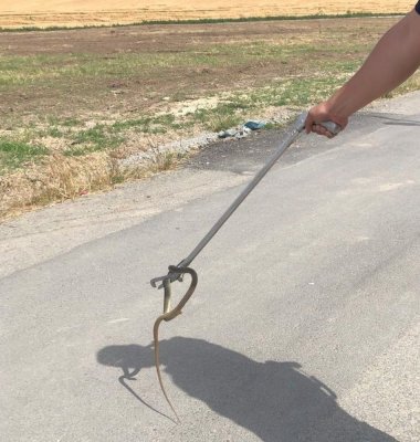Șarpe de 1 metru găsit într-o locuință din Valu lui Traian