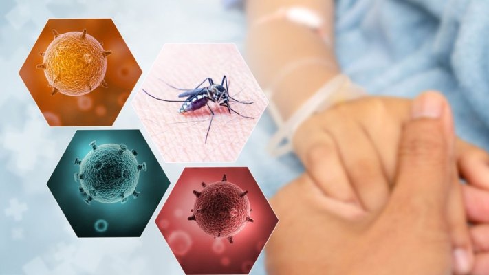 Creştere a numărului de cazuri de febră denga şi de boli cauzate de ţânţari în Europa