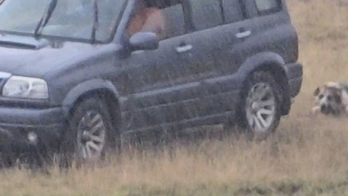Bărbat filmat în timp ce târăște cu mașina un câine legat cu o sfoară