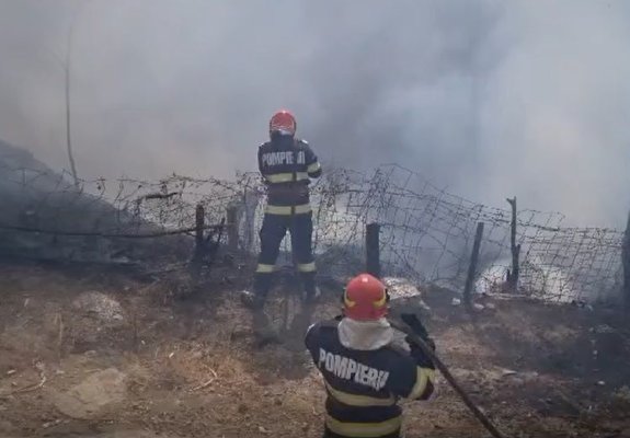 Mai multe animale s-au făcut scrum, după un incendiu izbucnit la un adăpost din Turcoaia. Video