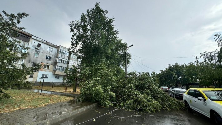 Furtuna a făcut ravagii în Medgidia: Inundații și copaci căzuți pe mașini. Video