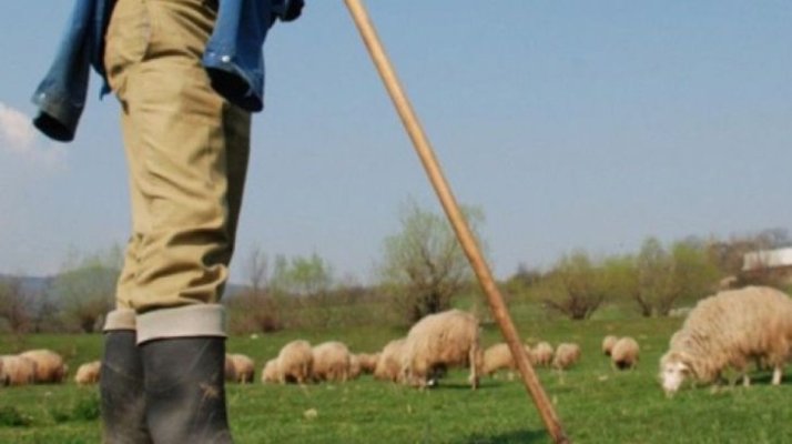 Cioban arestat după ce a violat o minoră de 12 ani