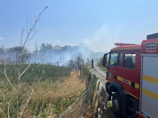 Val de incendii de vegetație uscată, în Tulcea! Video