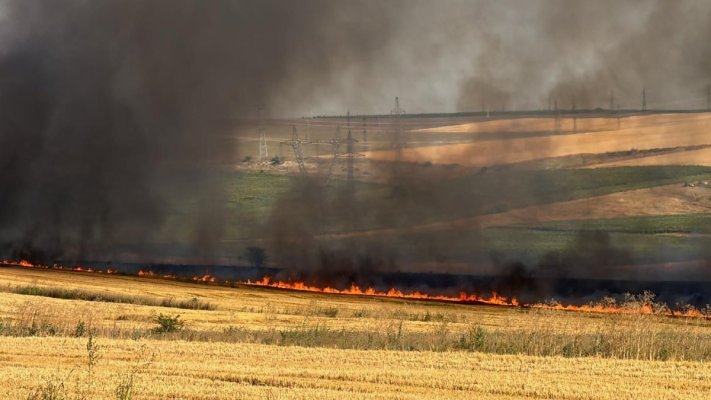 Incendiu de vegetație, în Medgidia