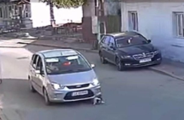 Câtă durere poate provoca un inconștient?! A lăsat un cățel... fără un ochi!