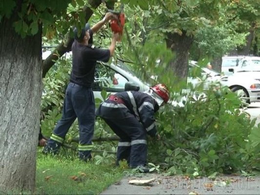 Creangă căzută peste 2 mașini parcate, în Eforie Nord