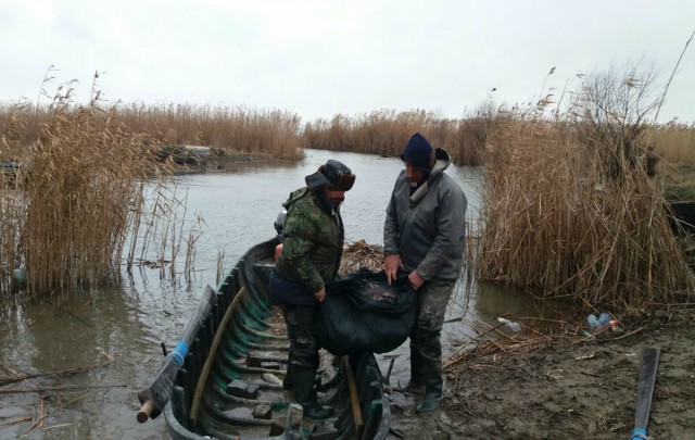 Două persoane depistate de polițiștii de frontieră în timp ce desfășurau activități de braconaj piscicol pe Dunăre 