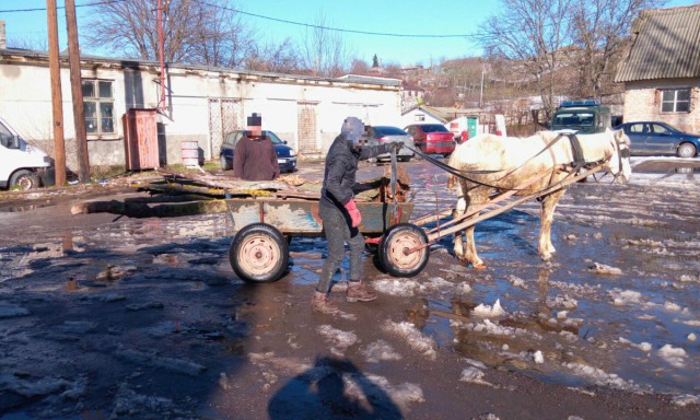 Aproximativ 400 kg material lemnos, confiscate de poliţişti la Băneasa!