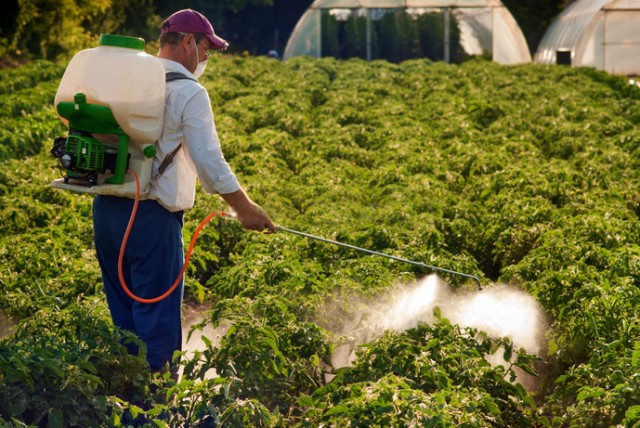 România este printre ţările membre UE cu cele mai mari vânzări de pesticide