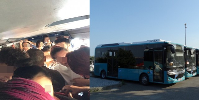 AUTOBUZELE noi din MANGALIA se ”BRONZEAZĂ” la soare, în timp ce călătorii CIRCULĂ ÎNGHESUIȚI în microbuze private