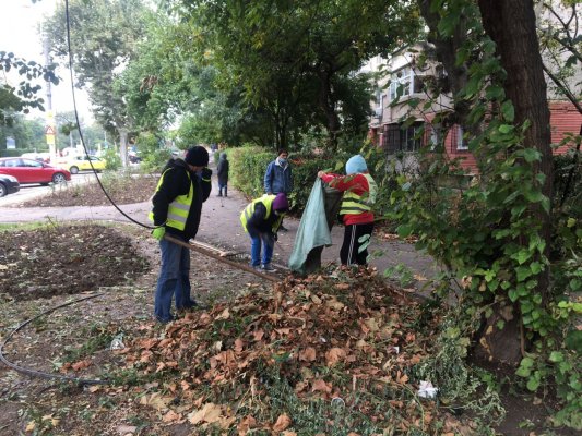 Primăria Constanța continuă igienizarea spațiilor verzi din oraş
