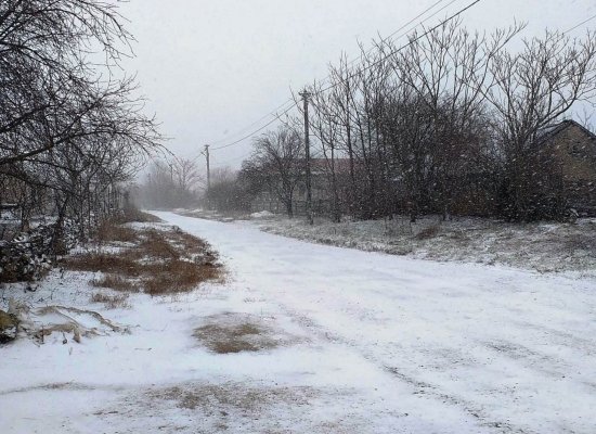 Ninge viscolit în județul Constanța