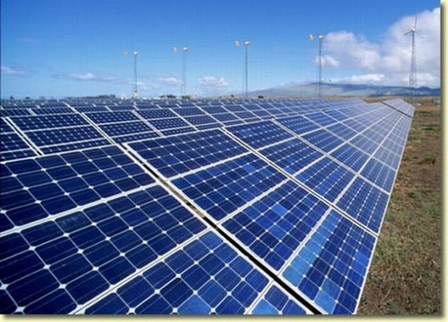 Israelienii construiesc un parc fotovoltaic la Ovidiu