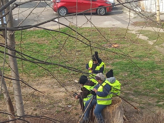 Fă-te, mamă, că lucrezi... că iei bani de la Spații Verzi!