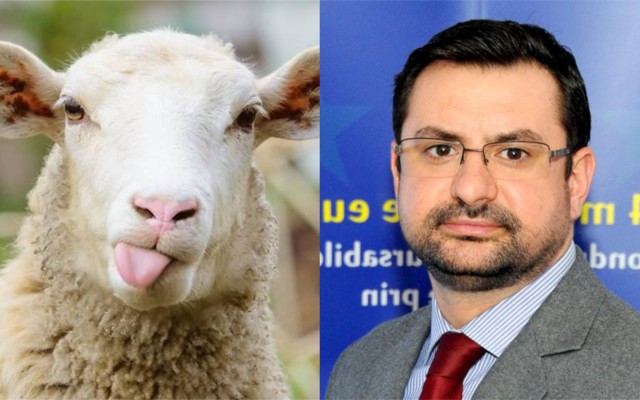 Ministrul Agriculturii: 'Mielul de Paște va costa fix cât vom plăti pe el'